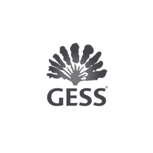 GESS